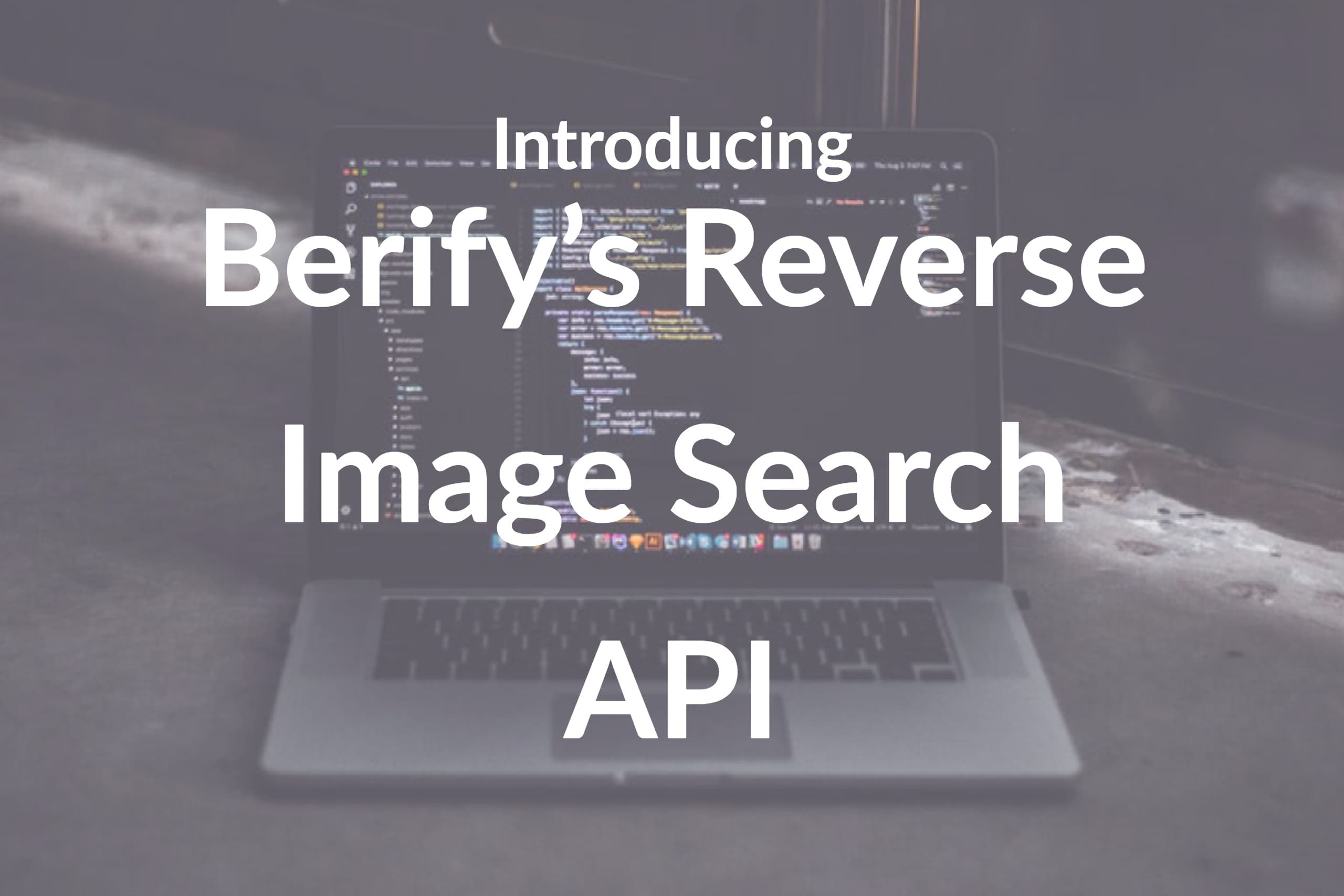 Introducing the Best Reverse Image Search API