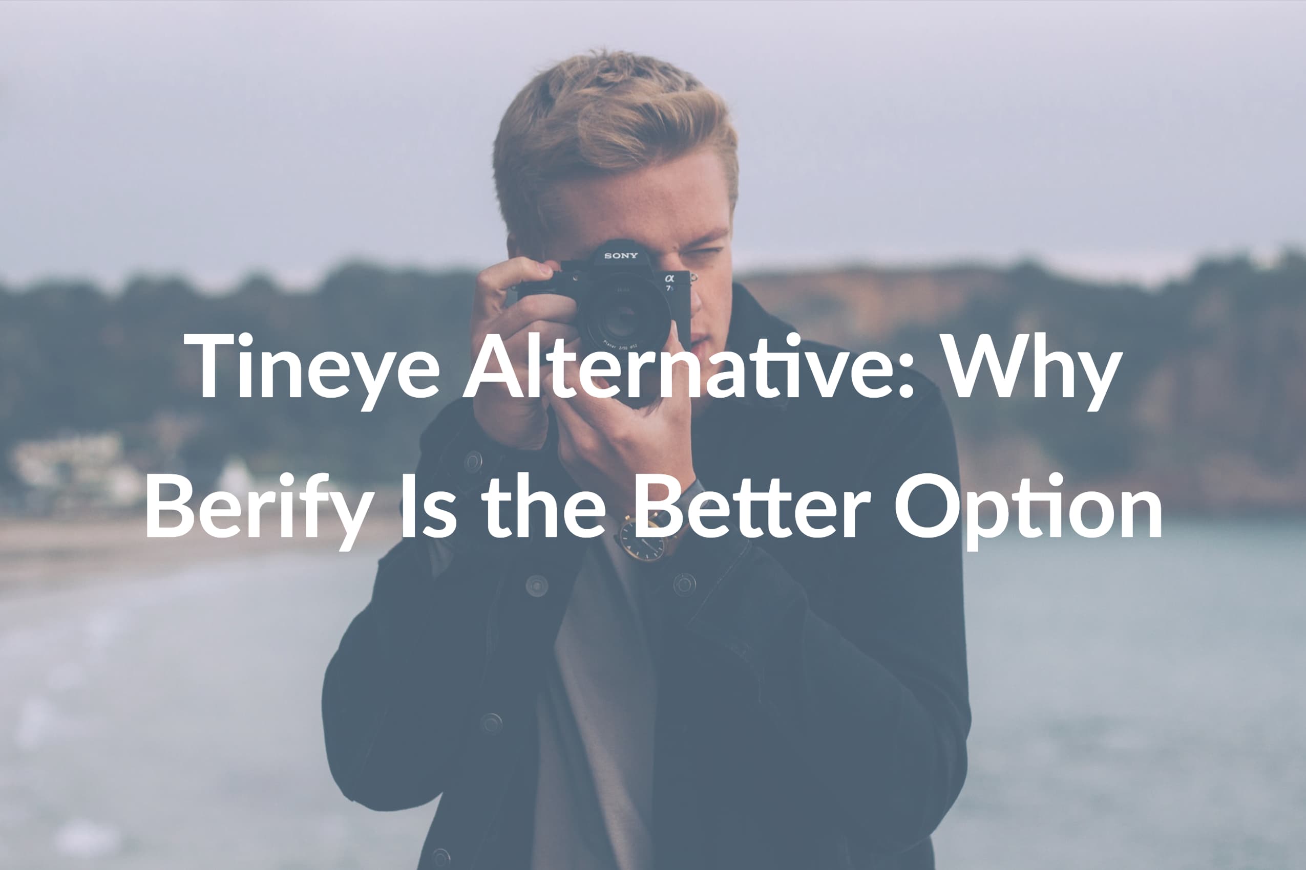 Tineye Alternative: Why Berify Is the Better Option
