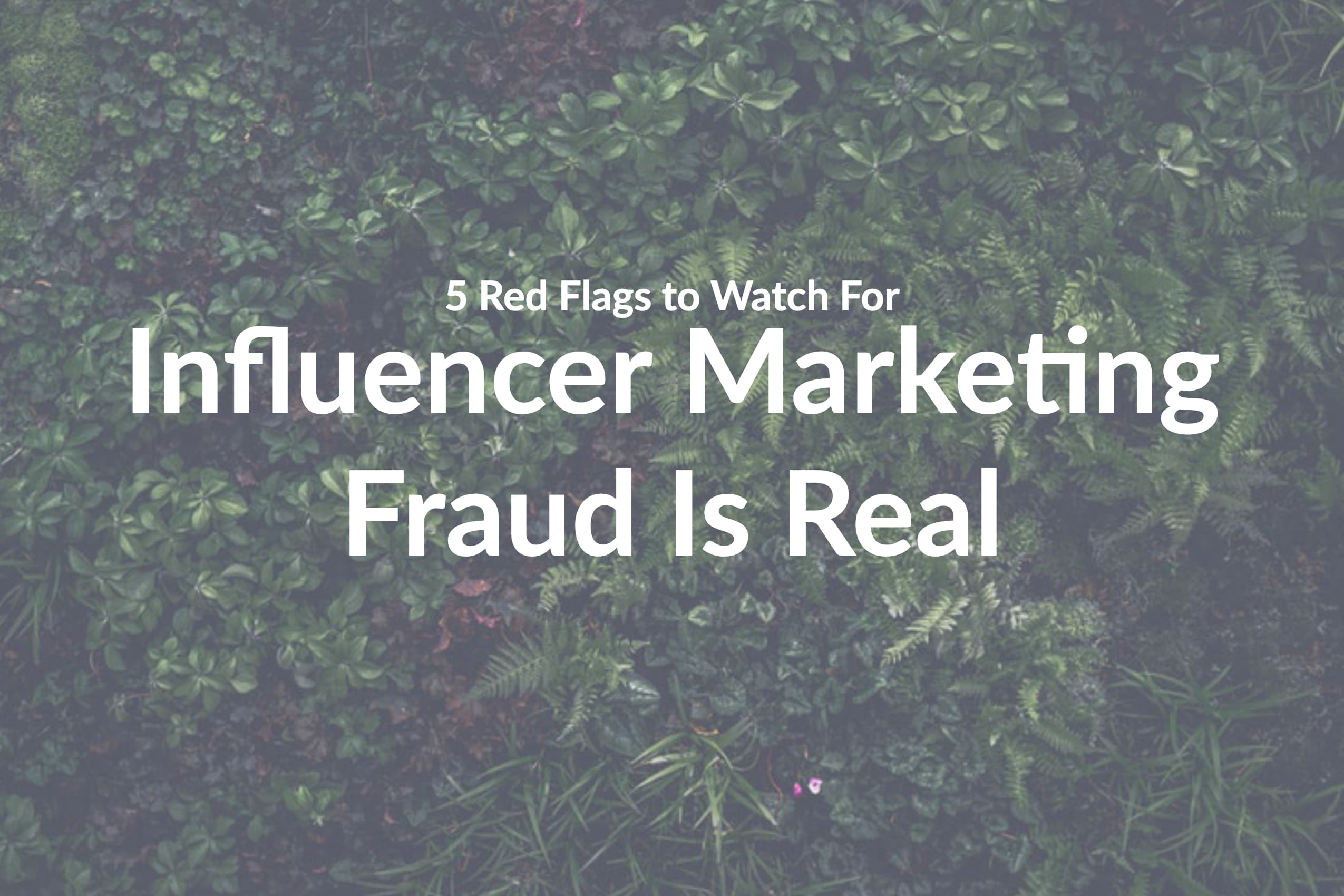 Influencer Marketing Fraud Is Real: 5 Red Flags to Watch For