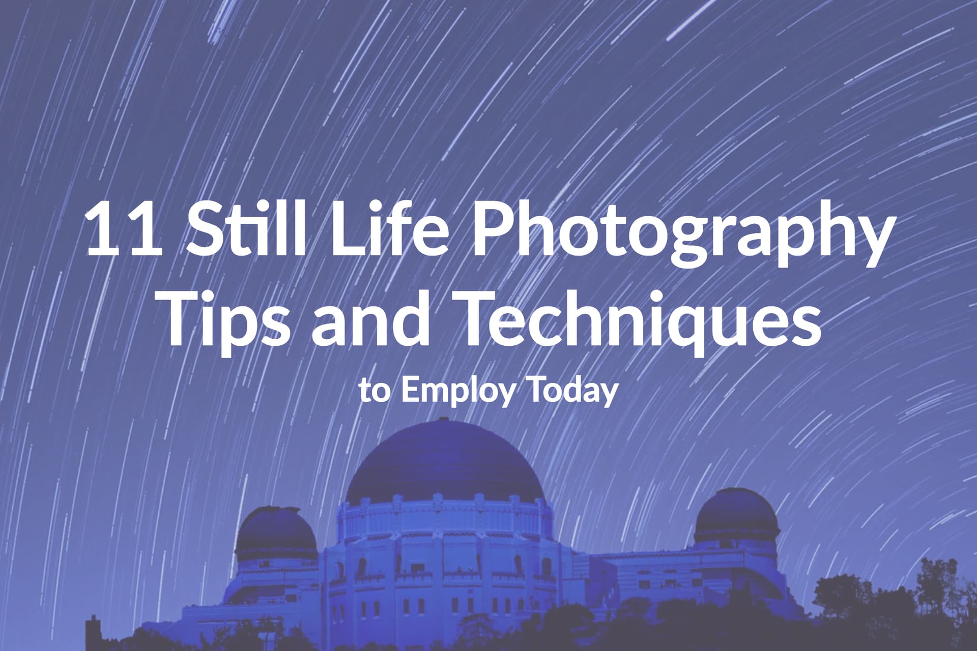 11 Still Life Photography Tips and Techniques to Employ Today