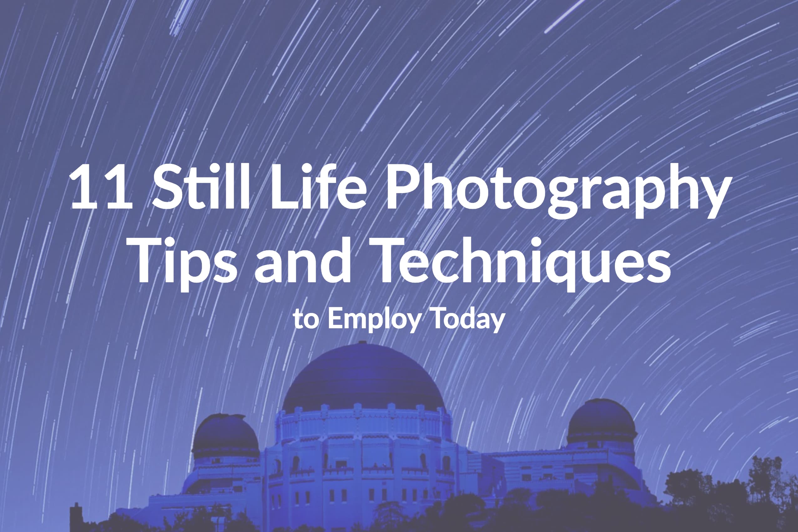 11 Still Life Photography Tips and Techniques to Employ Today