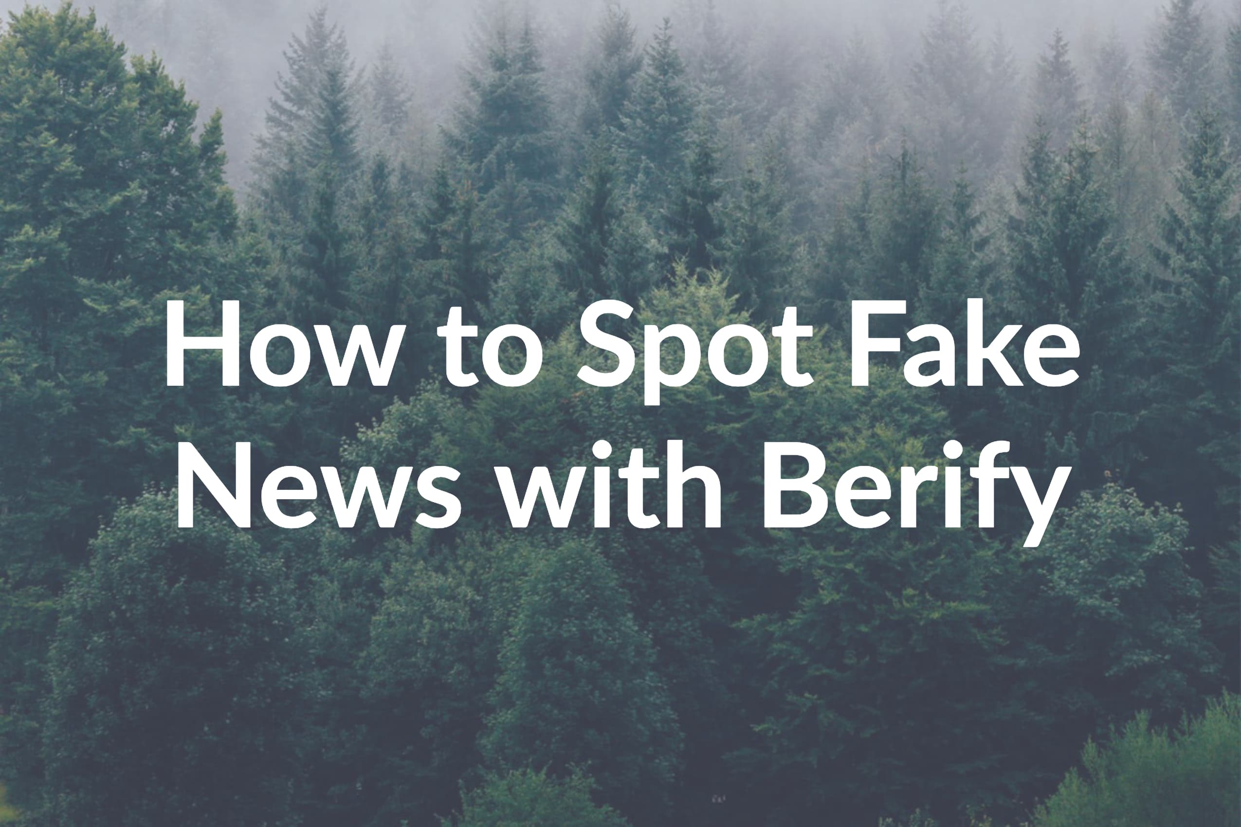 How to Spot Fake News with Berify