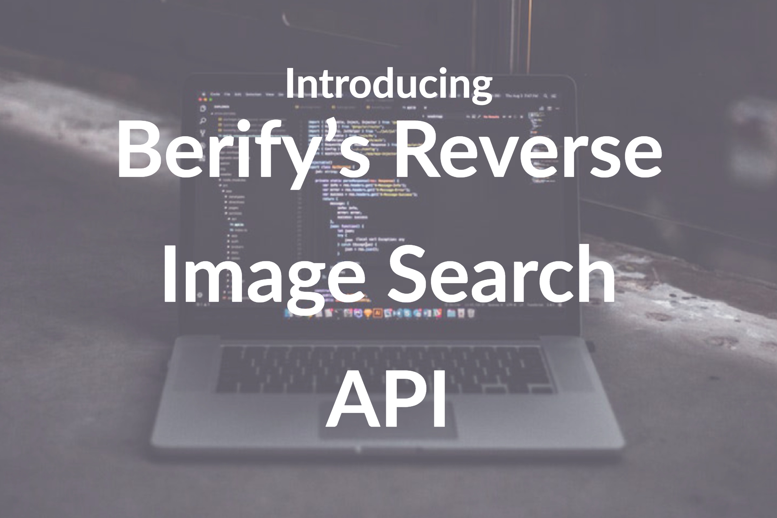 Introducing the Best Reverse Image Search API - Berify Blog
