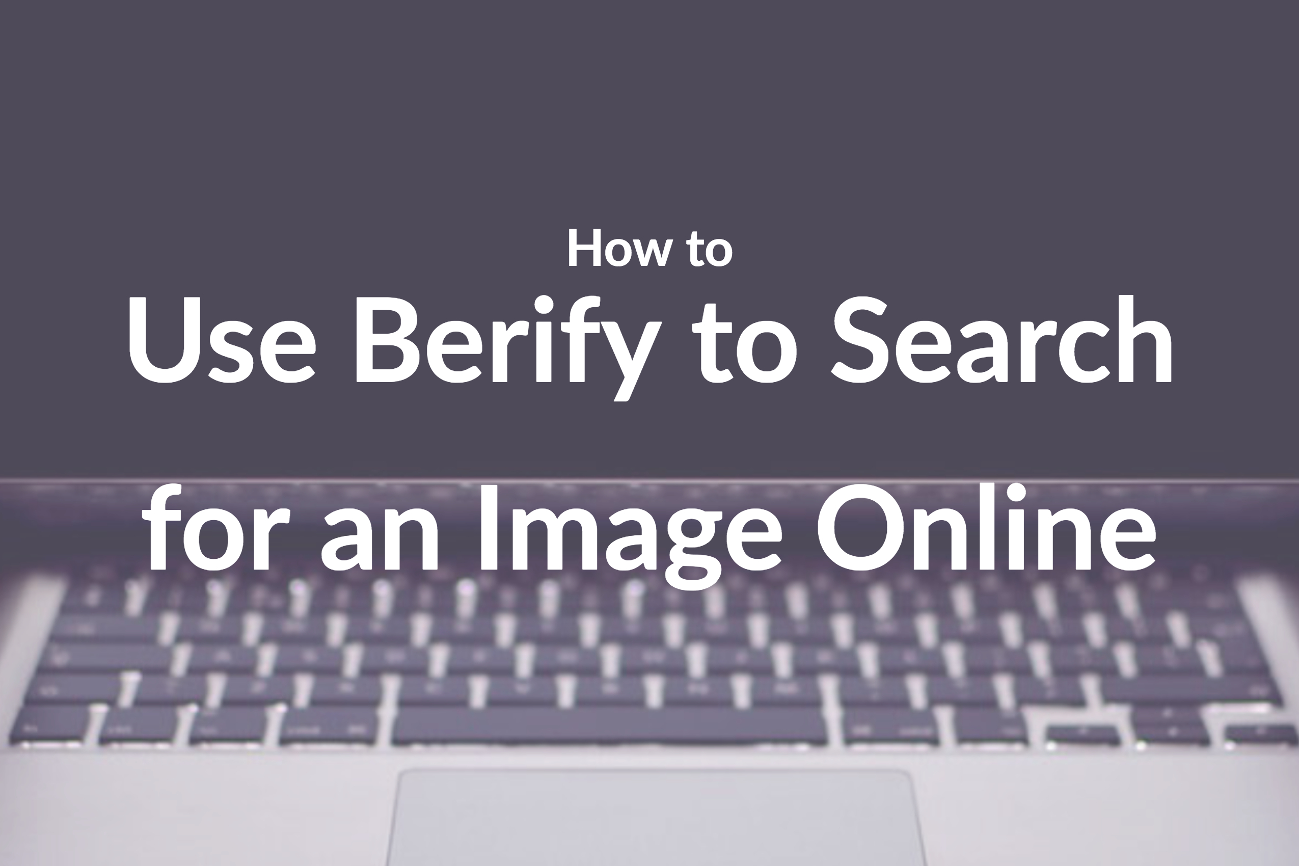 How to Use Berify to Search for an Image Online
