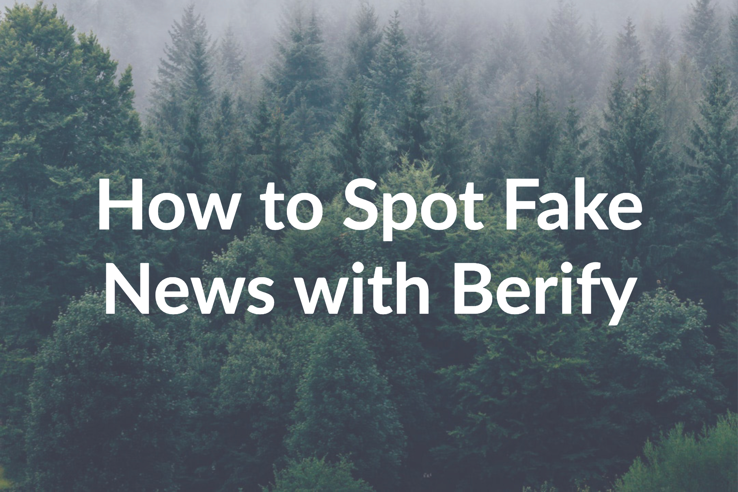 How to Spot Fake News with Berify