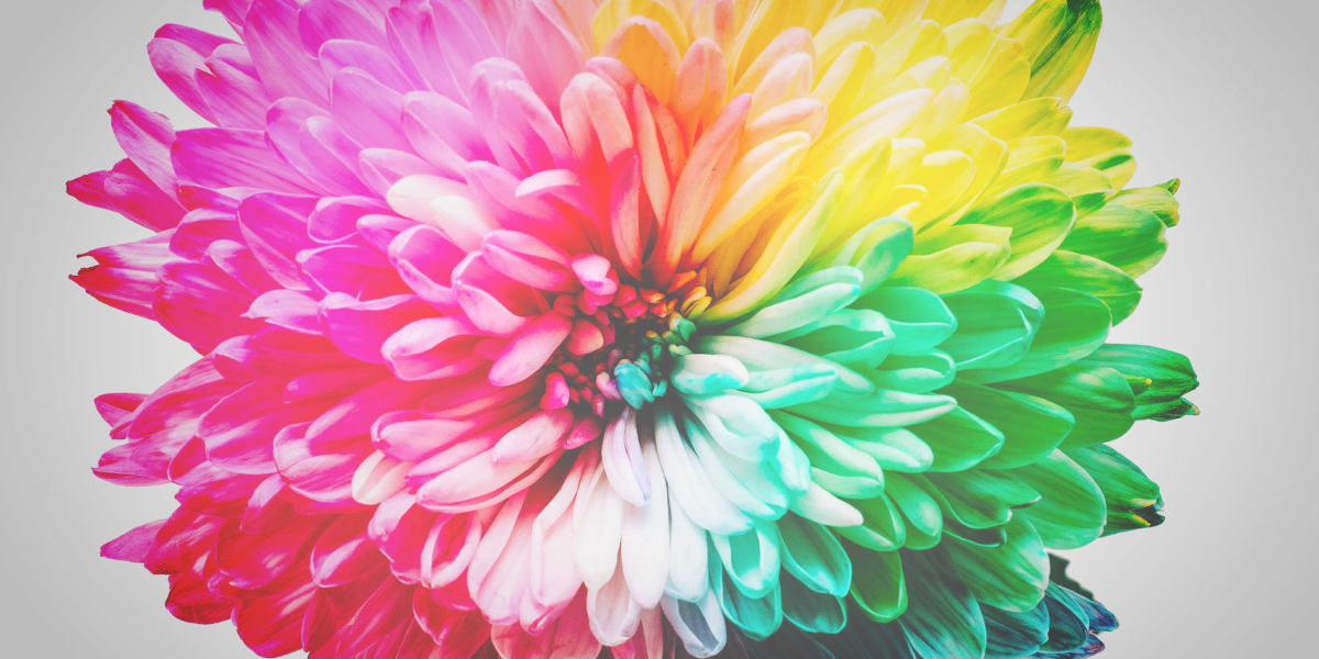 Color Perception Test: See How Your Color Skills Stack Up - Berify